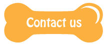 Contact Us Button