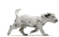 walking dog gif walking dog gif